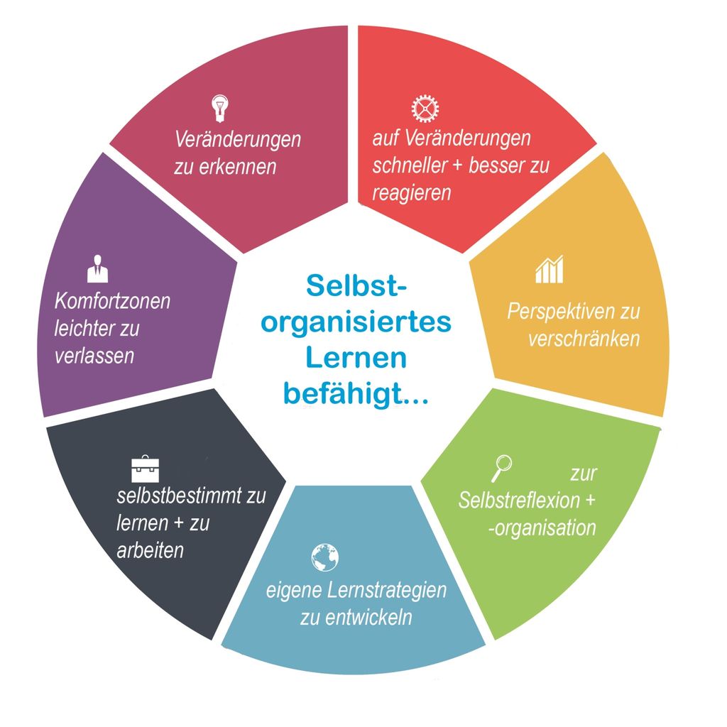 Wie funktioniert selbstorganisiertes Lernen?